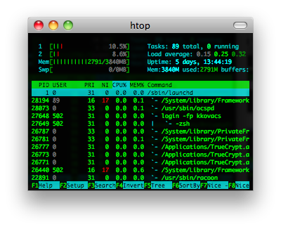 htop screenshot